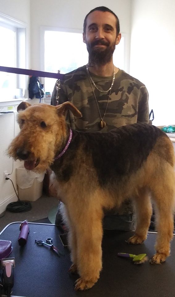 Gallery – Bath, Brush and Beyond Grooming